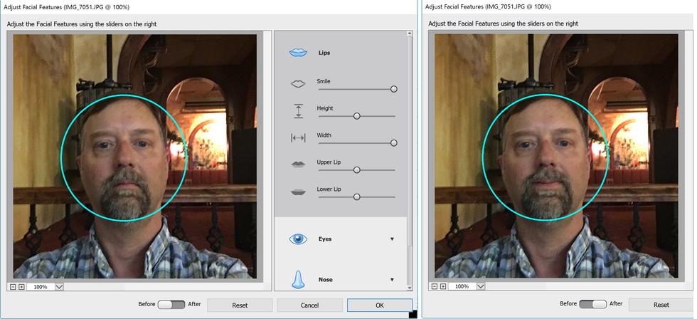 Adjust Facial Features