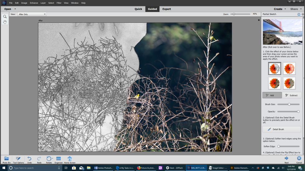 Partial Sketch Photoshop Elements