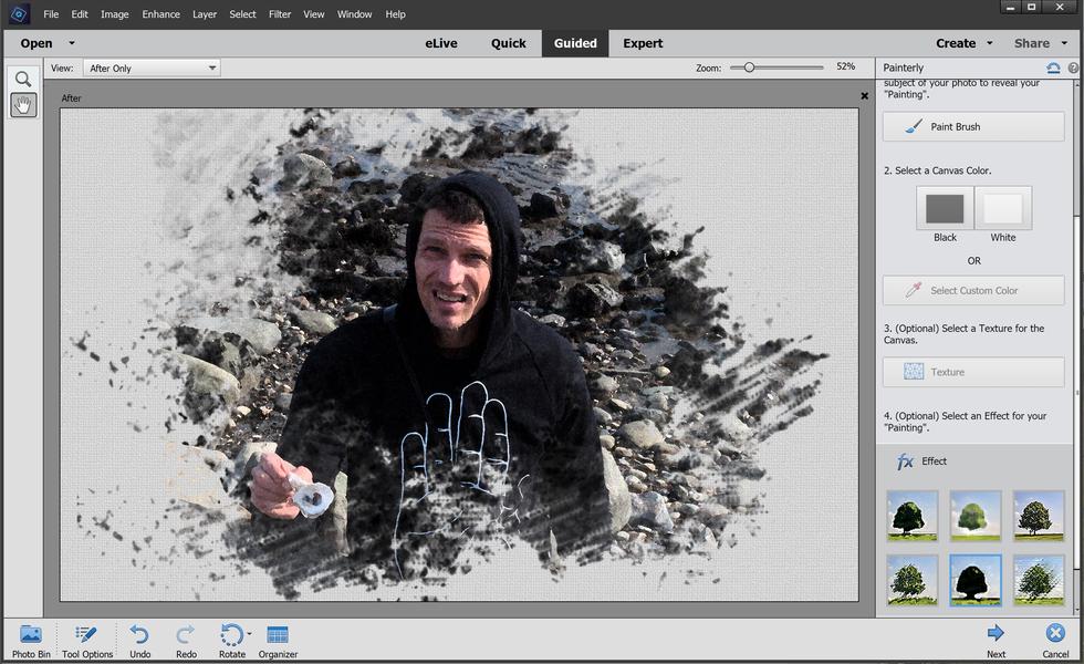 Photoshop Elements Painterly Guided Edit