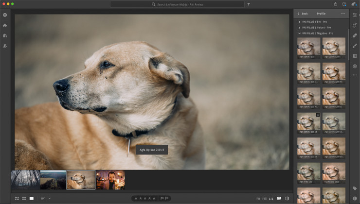 RNI All Films 5 Professional : Lightroom Interface