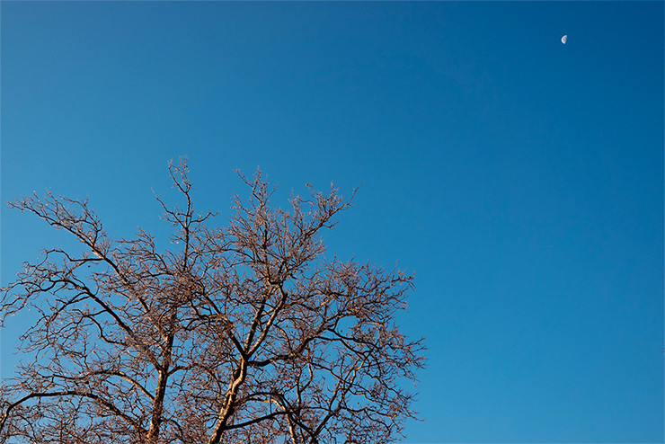Sony Cyber-shot DSC-RX100 VII : Sample Image
