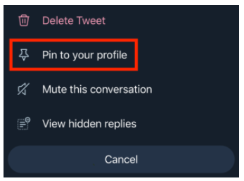 Pin to your profile option