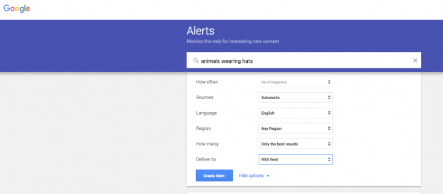 Google alerts for "animals wearing hats"