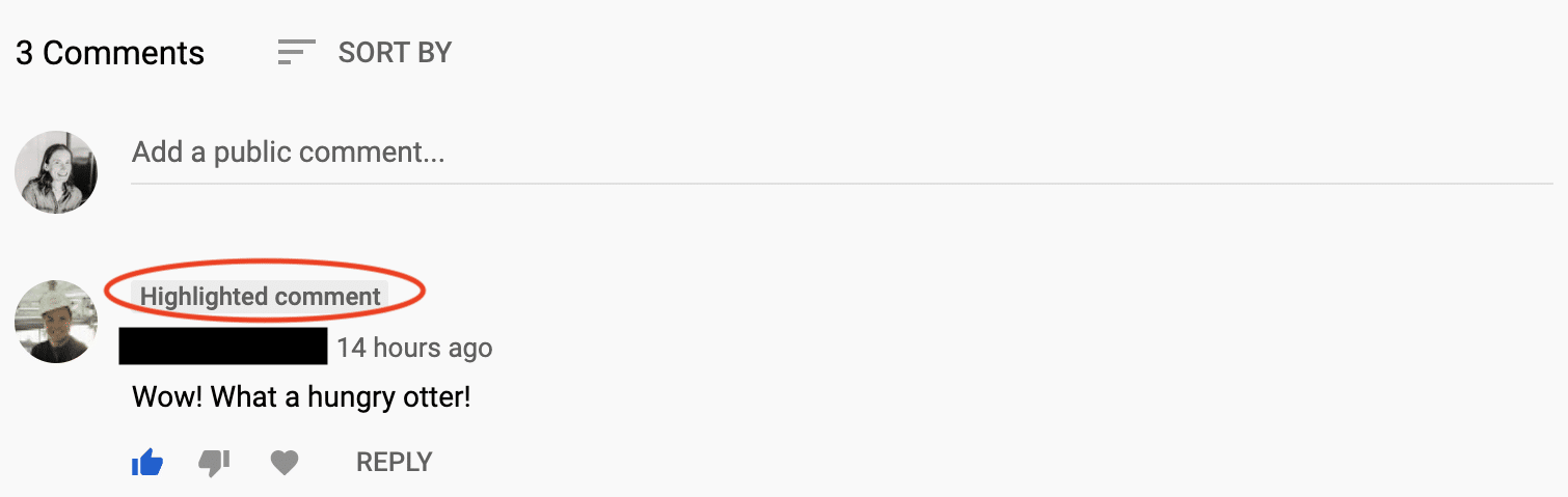 YouTube Highlighted Comments tags
