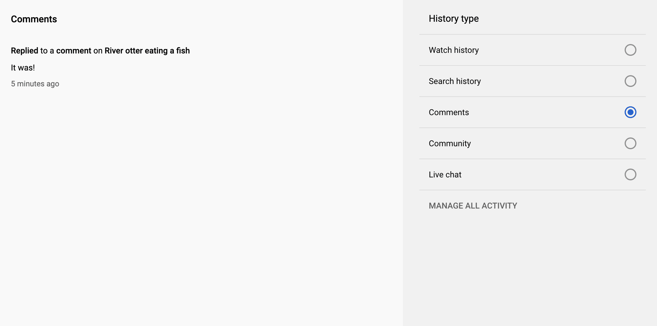 YouTube comments history