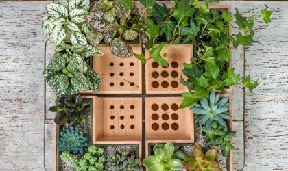Julia Kononenko Eco Pot Modular Desktop Organizer
