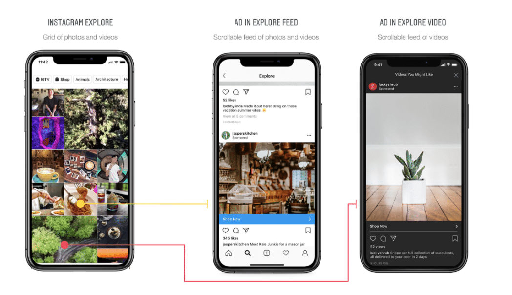 Instagram Explore feed ads