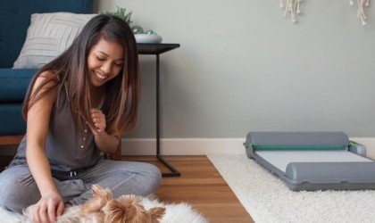 BrilliantPad Self-Cleaning Dog Pad