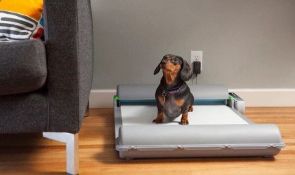 BrilliantPad Self-Cleaning Dog Pad