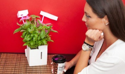 QBUX urban farming gadget