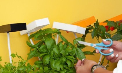 QBUX urban farming gadget