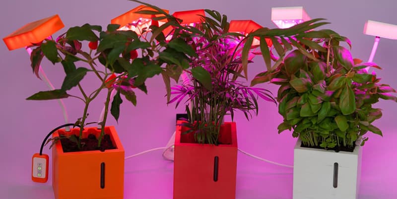 QBUX Urban Farming Gadget