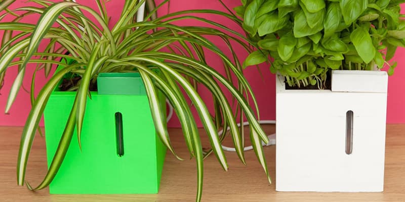 QBUX Urban Farming Gadget