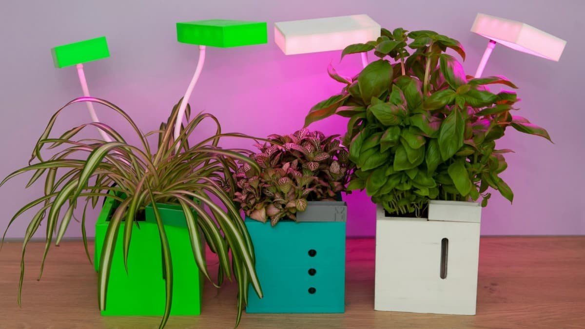 QBUX Urban Farming Gadget