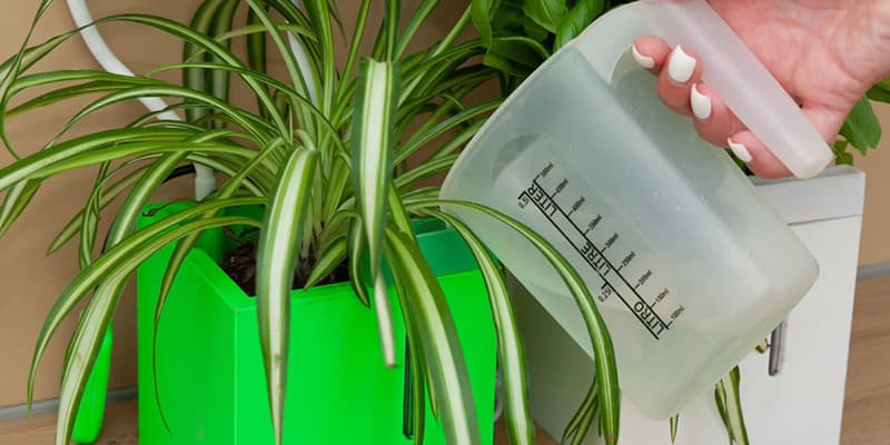 QBUX Urban Farming Gadget