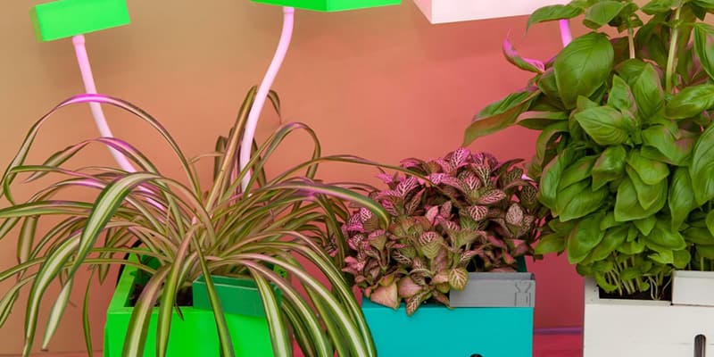 QBUX Urban Farming Gadget
