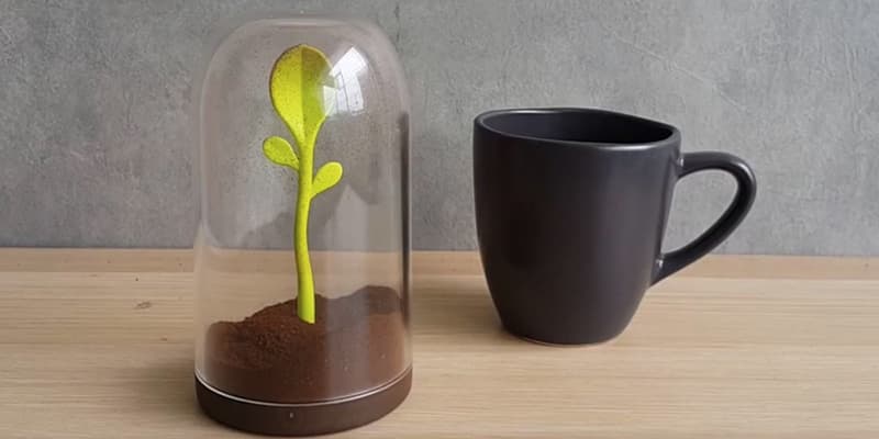 Animi Causa Sprout Jar Seasoning Container