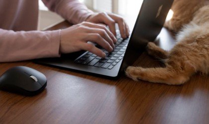 Microsoft Bluetooth Ergonomic Mouse