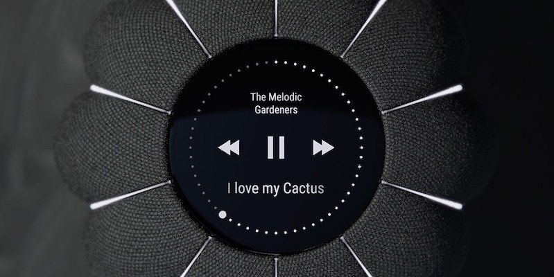 Smart Cactus by Jonas Daehnert
