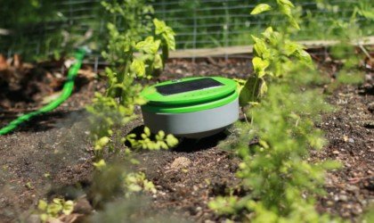 Tertill Weeding Robot