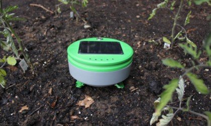 Tertill Weeding Robot