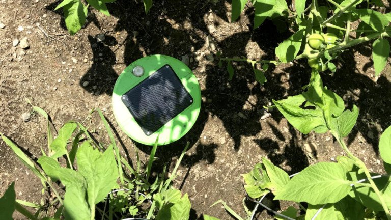 Tertill Weeding Robot