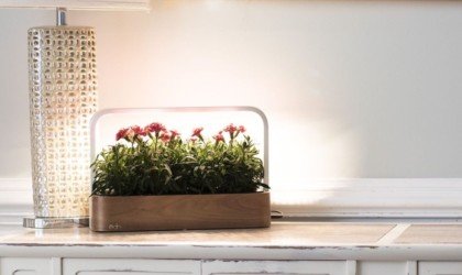 ēdn SmallGarden indoor connected garden