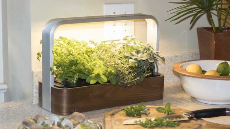 ēdn SmallGarden indoor connected garden