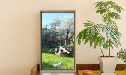 Best smart gear of 2020 curated by the Gadget Flow team
