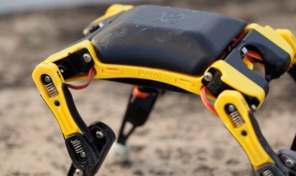Petoi Bittle palm-size robot dog