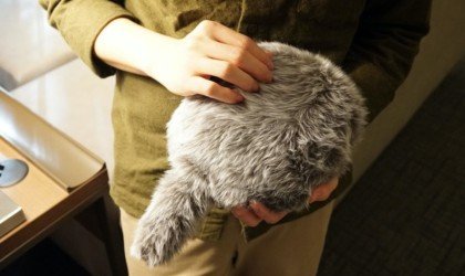 Petit Qoobo Tailed Cushion Robot