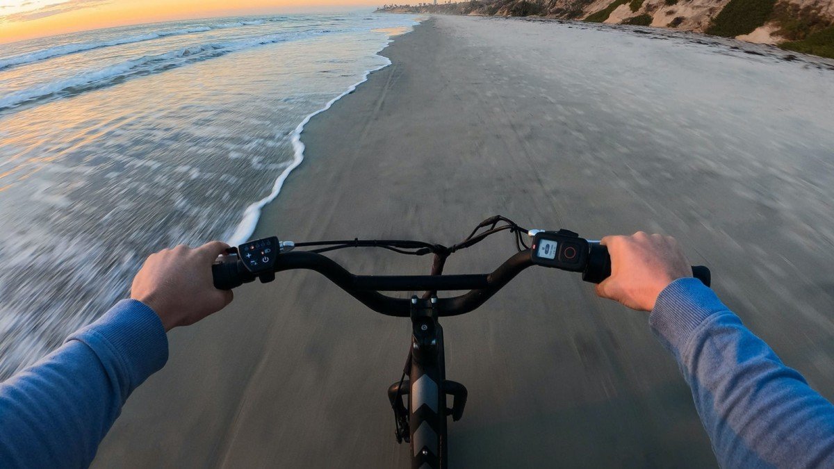 GoPro The Remote Smart Waterproof Remote