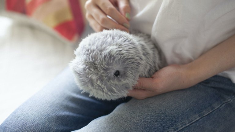 MOFLIN AI Pet