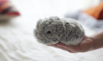 MOFLIN AI Pet