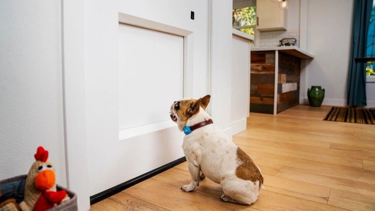 myQ Pet Portal smart dog door