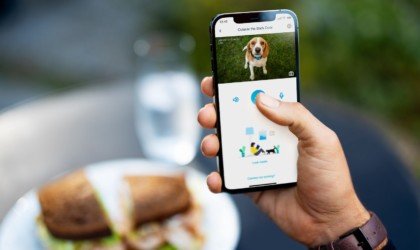 myQ Pet Portal smart dog door