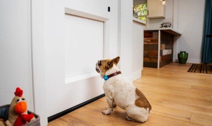 myQ Pet Portal smart dog door