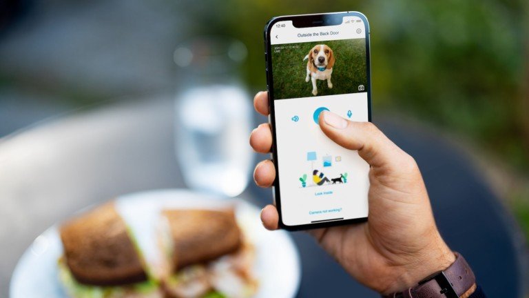 myQ Pet Portal smart dog door