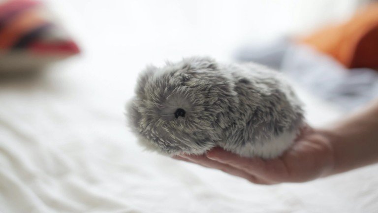 MOFLIN AI Pet