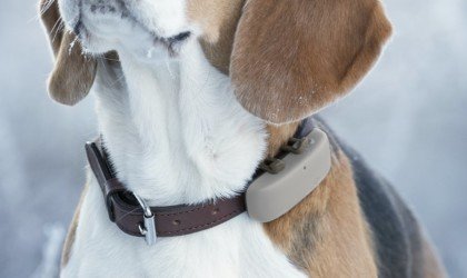 Tractive pet GPS tracker