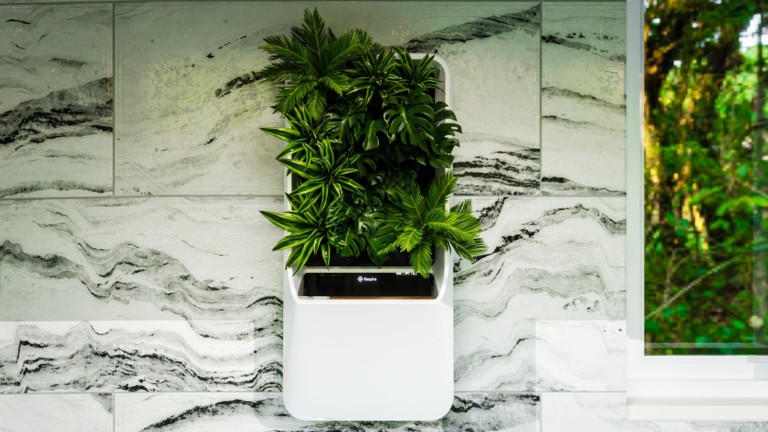 Respira Air-Purifying Garden