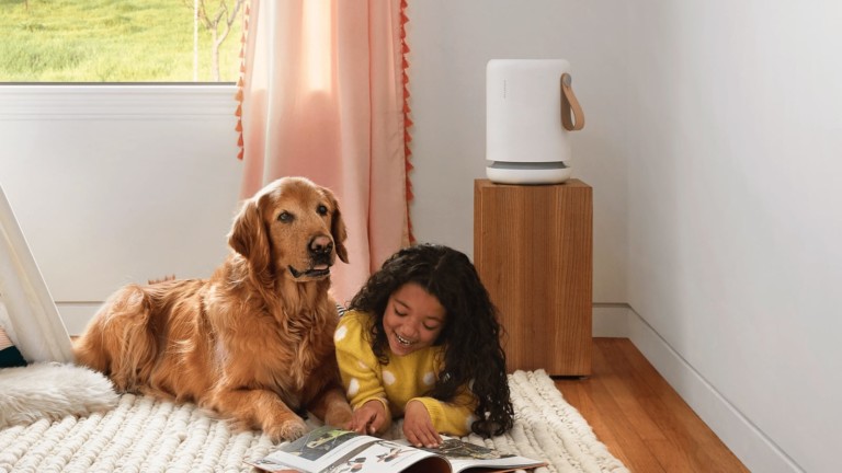 Molekule Air Mini Series Home Air Purifiers