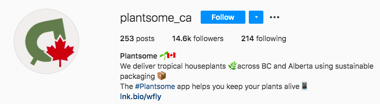 Plantsome tropical houseplants delivery business