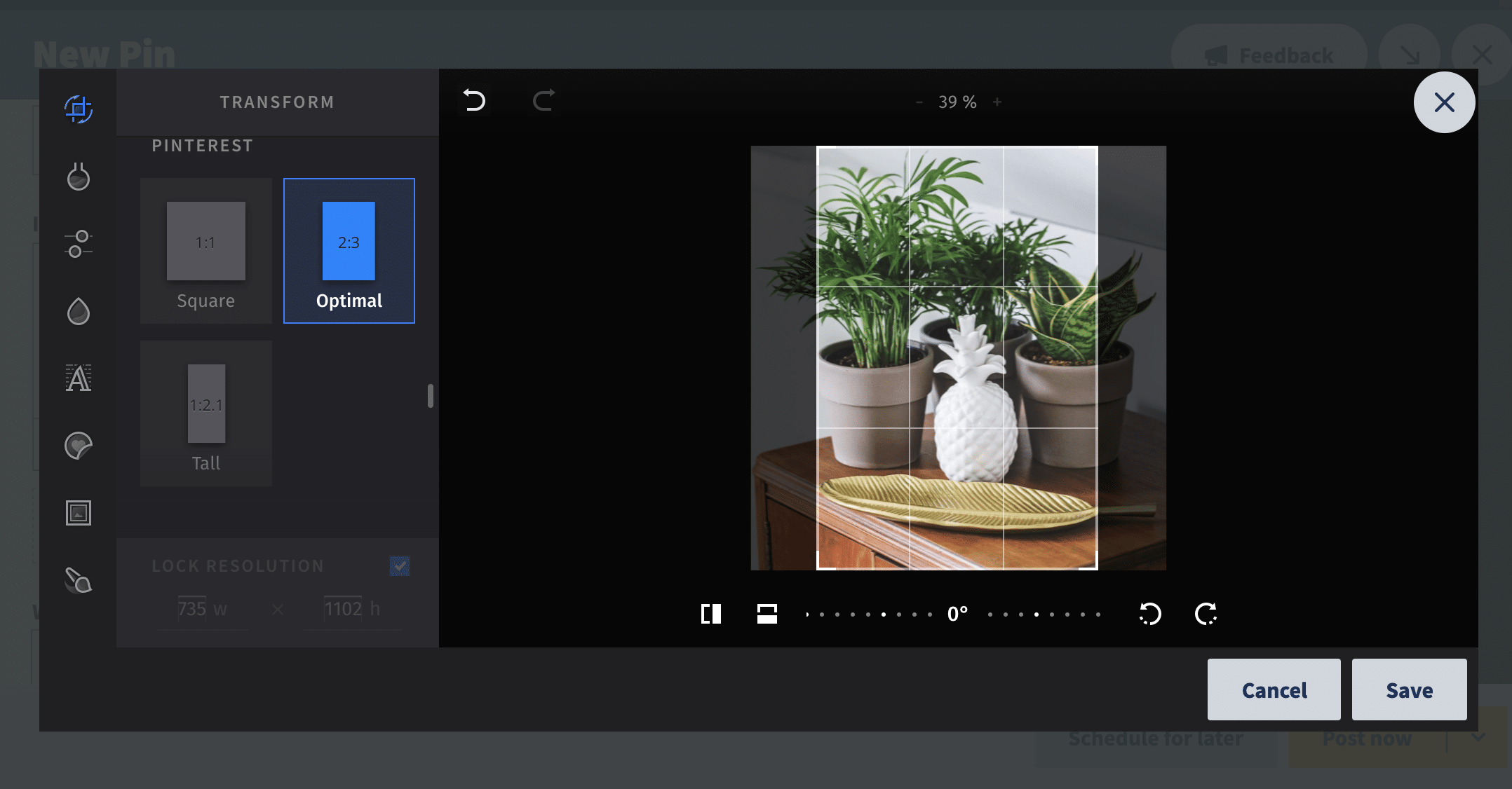 edit image of plants