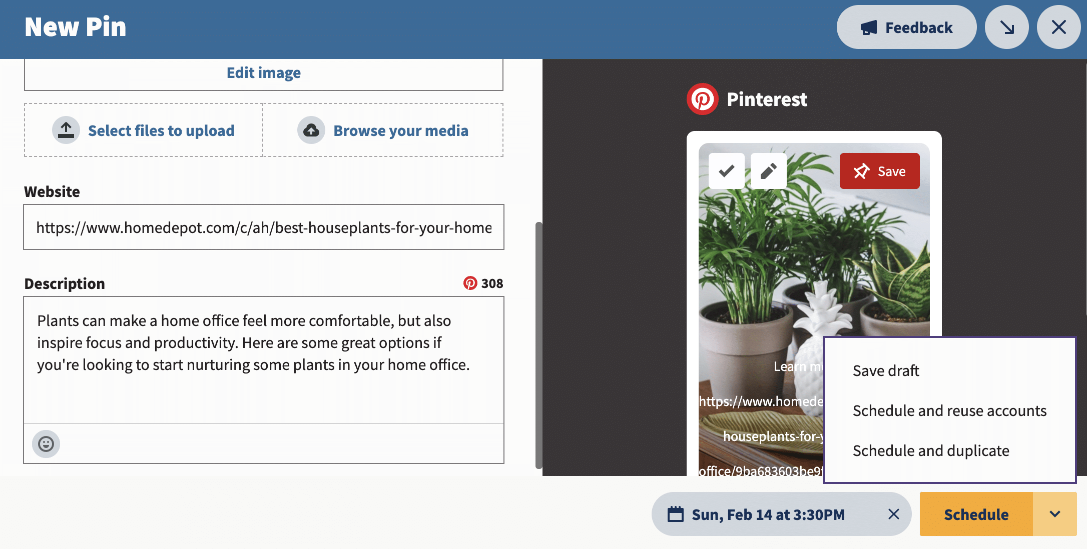schedule plants pin on Hootsuite