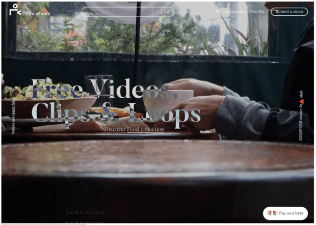 life of vid free video clips and loops