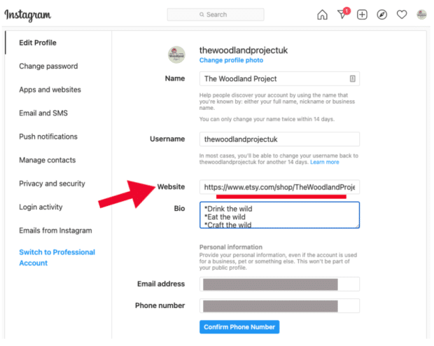 enter target URL in Website box