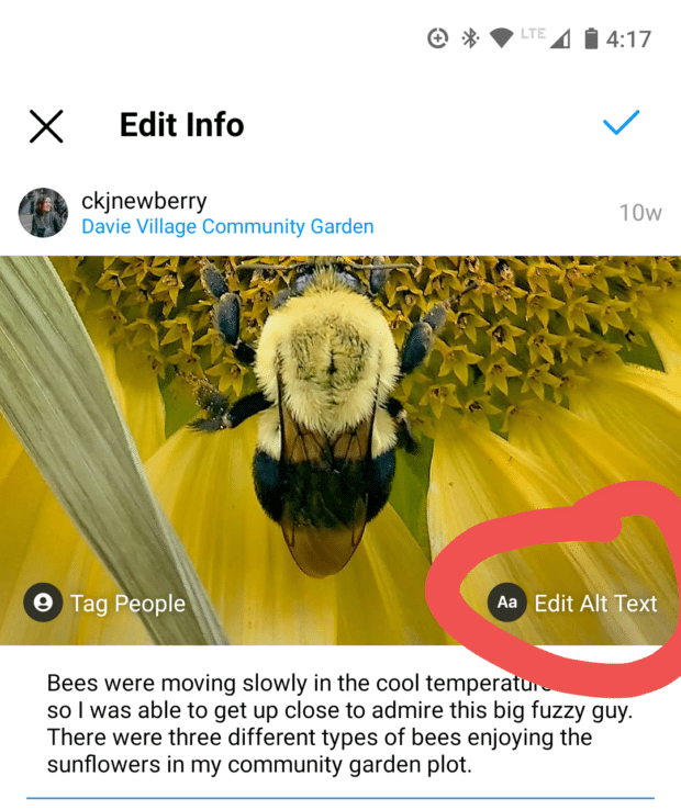edit alt text on existing photo