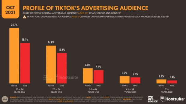 profile of TikTok's advertising audience