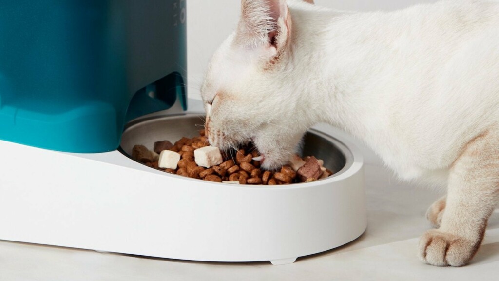 Cool pet gadgets you can give pet parents this holiday season